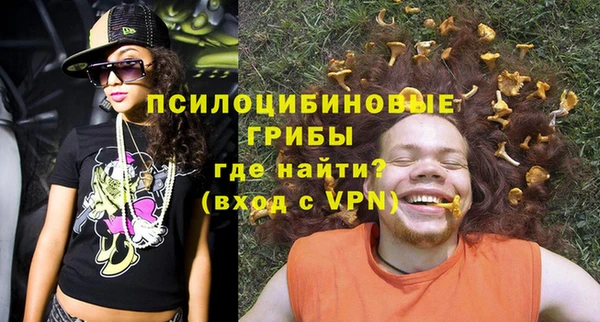 твердый Богородицк